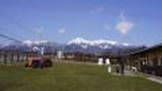 やつれん 本社工場併設直売所