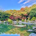 和の雰囲気の庭園