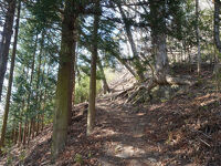 龍岡城五稜郭展望台(田口城跡)