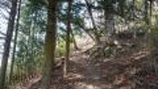 龍岡城五稜郭展望台(田口城跡)