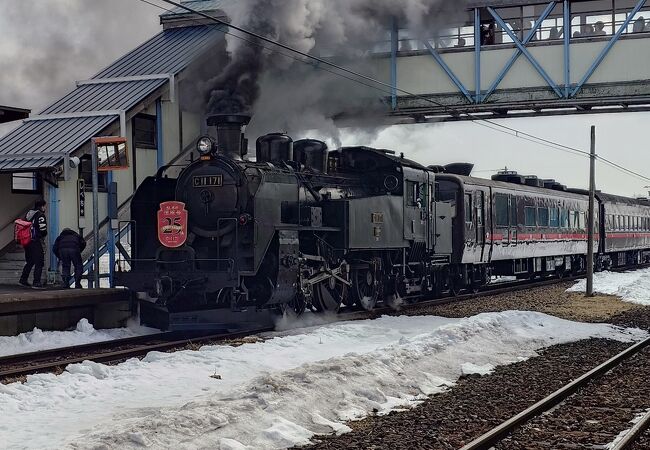 冬の釧路湿原を力強く疾走