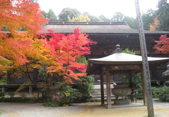 本堂の周りは、紅葉が綺麗、更に、仏像群が一見の価値あり！！