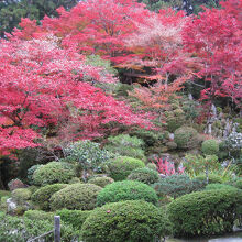 庭園　　その②