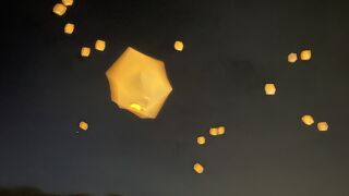 農園リゾート THE FARM