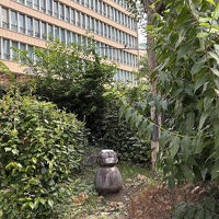 ホテルに行く途中で出会った河童