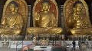 長楽寺(但馬大佛)