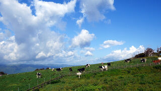 城岱牧場展望台
