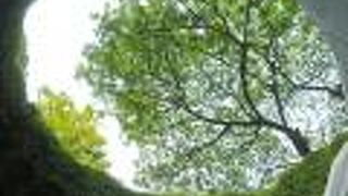 フォート カニング パーク