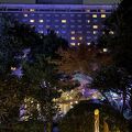 日本庭園のイルミネーション