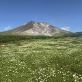 広大な山の風景が一望