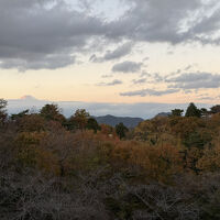 マウンテンビューの客室から