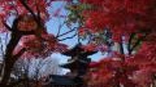 真如堂 (真正極楽寺)