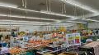 ポケットファーム どきどき (つくば牛久店)