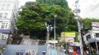 ウィロード山王