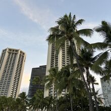 ハイアット リージェンシー ワイキキビーチ リゾート ＆ スパ