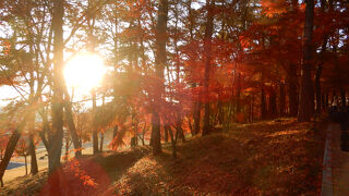 扶蘇山城 (落花岩)