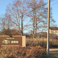 幹線道路から入ったところ