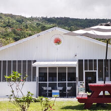 ビッグ アイランド  ビーズ