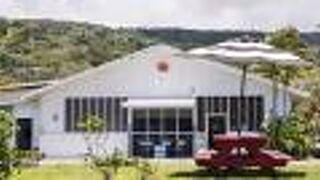 ビッグ アイランド  ビーズ