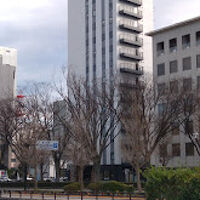 堀端にスッキリ建つ