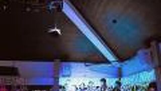 クラブメッド石垣島