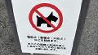 宗像大社(辺津宮)