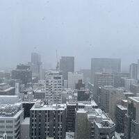 西側を望む雪景色です
