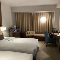 豪華な内装の客室です