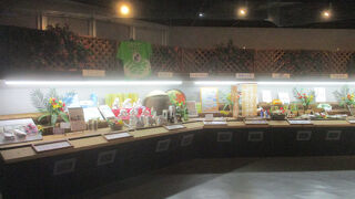 サザンクロスセンター