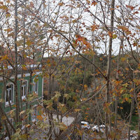 客室からの眺め