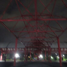 ミス ・ ビードルドーム