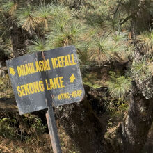 トイレル中の分岐点