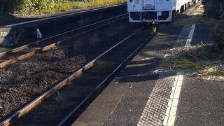 日南線観光特急 海幸山幸号