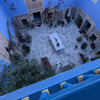 眼下には中庭です。猫多し。