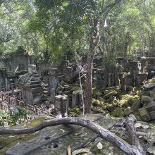 ベンメリア遺跡の１２月は観光のベストシーズンです。