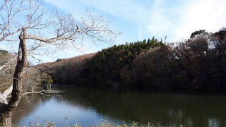 茨城県水郷県民の森