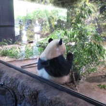 東京都恩賜上野動物園