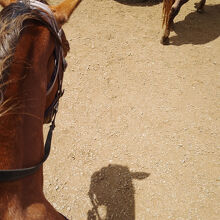 出発前に水分補給