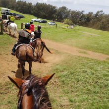 一列に進んで帰ります