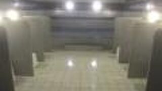 グリーンリッチホテル＆カプセル那覇　人工温泉 二股湯の華