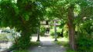 羽黒神社 (お羽黒さん)