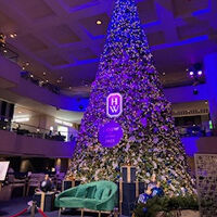 HWのクリスマスツリーが立派でした。