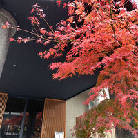 入口の紅葉がみごとでした。