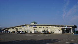 金沢港いきいき魚市