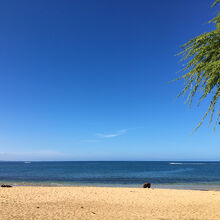 水上バイクで走り回るロコ