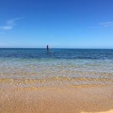 SUPを楽しむロコ