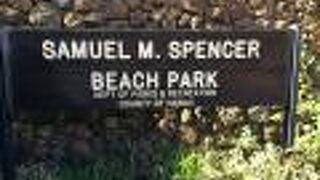 スペンサー ビーチ パーク