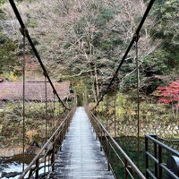 狩野川に架かる（少し揺れる）吊橋。対岸には大きなブランコが。