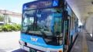 東バスの「定期観光バス」