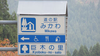 道の駅  みかわ(巨木の里)
